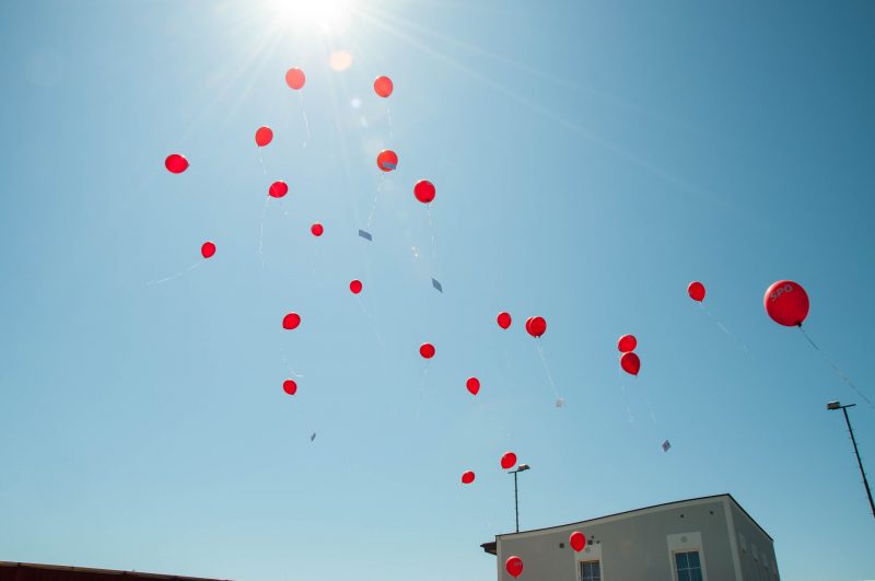 Familienfest Neumarkt/Ybbs 18.08.2019