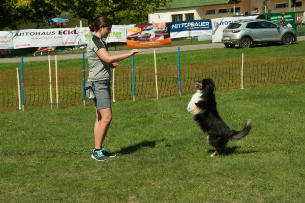 Neumarkter Familienfest 2019-60